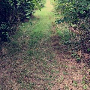 Meet your Posher, Renae